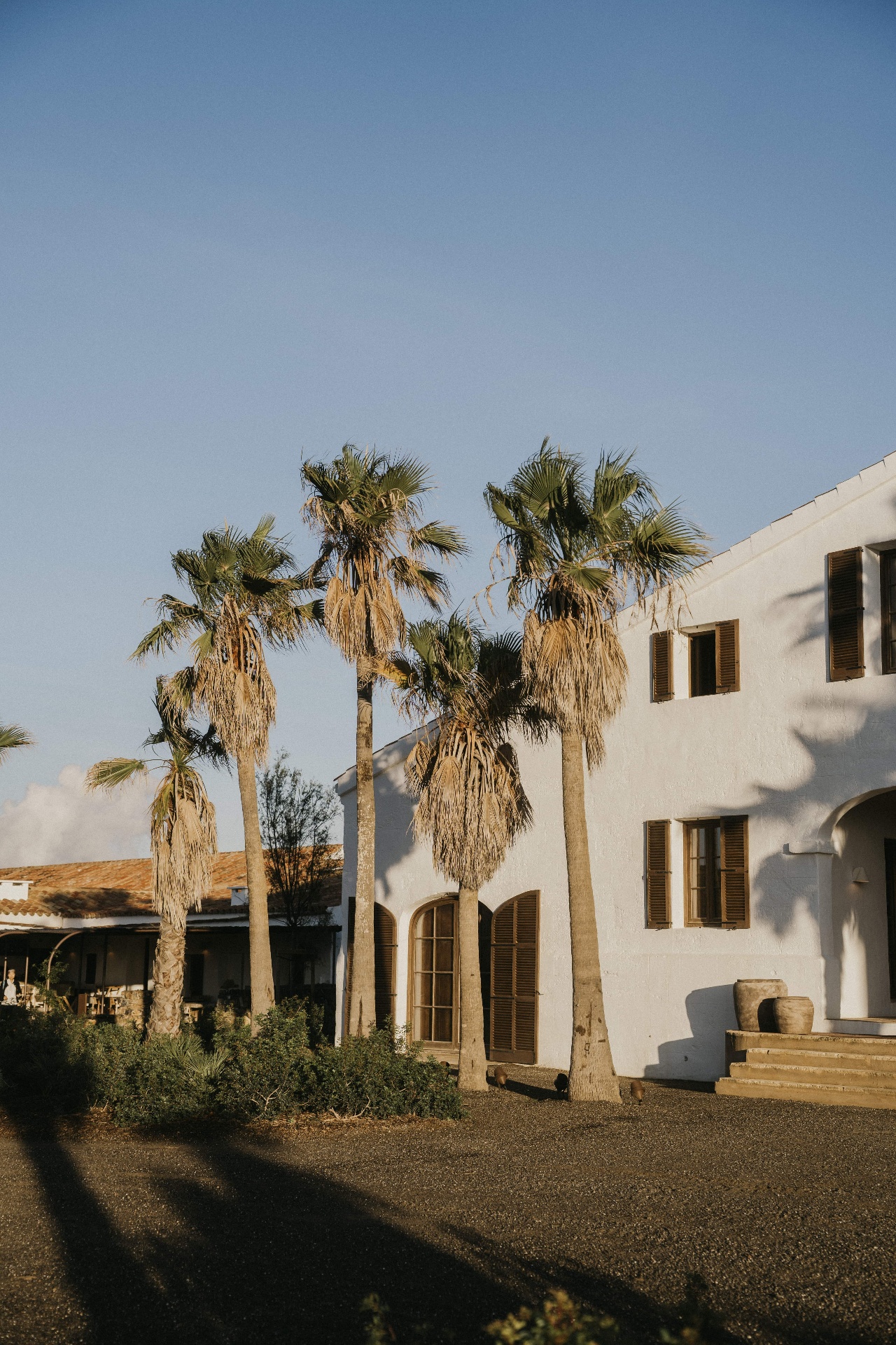 Palm trees and white finca exterior at the Moonsisters x Kaer retreat in Mallorca