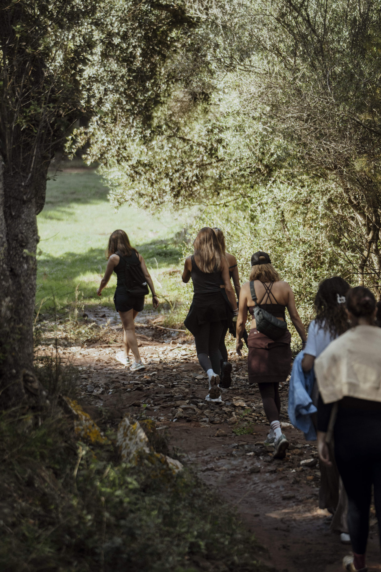 Guests walking a shaded forest path at a Kaer retreat