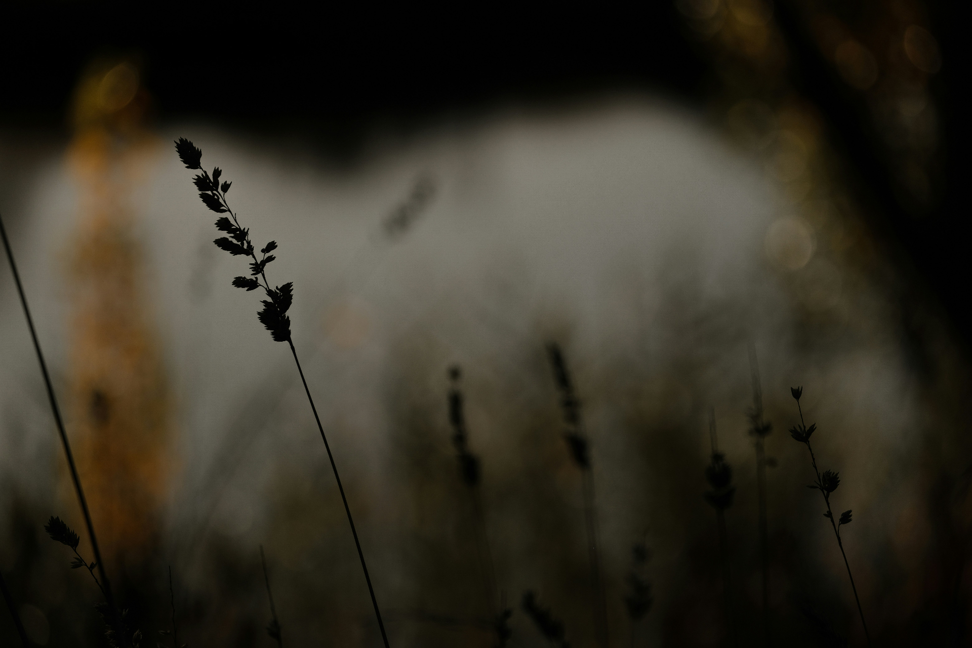 Burnout Recovery Retreat in Europe: A Grown-up Guide